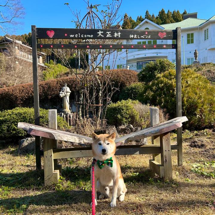 Be138996 88c3 47de b802 0d85e3c61a60 1702890599814