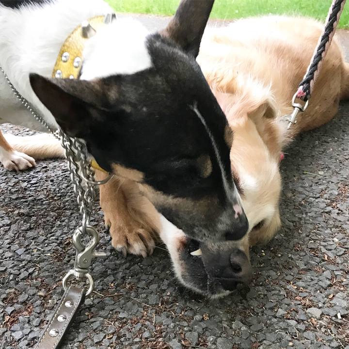 Be13cabe 9c04 4df9 88cb 664802d15456 1525087948279