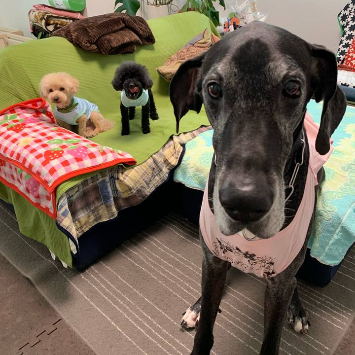 Be13ddea f399 4349 b7fb 3b45a835a070 1590361755502