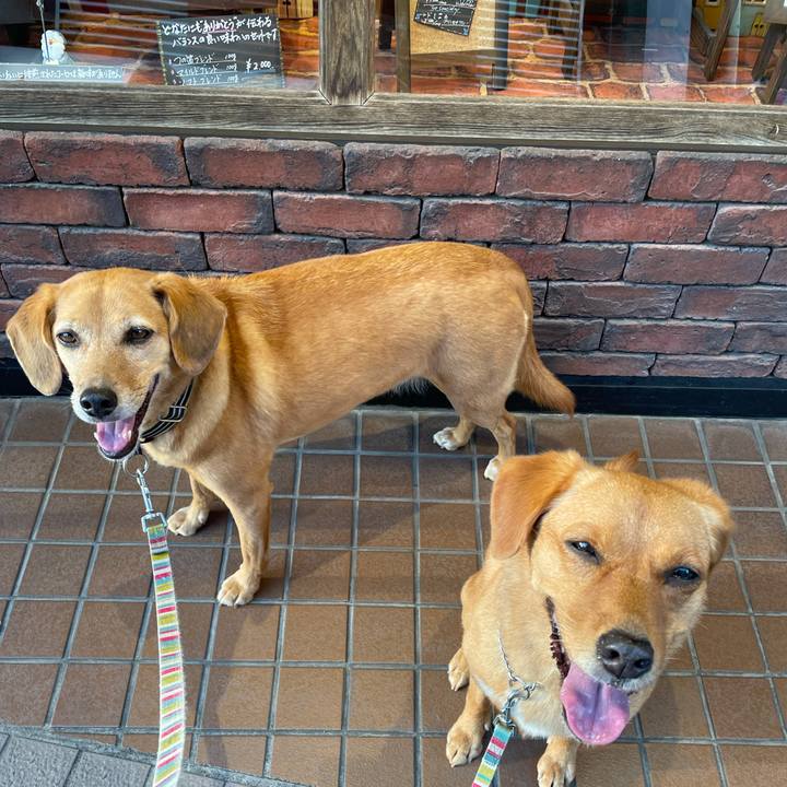 Be13fab5 f0d2 468a 8a86 bb6f60ac0e2c 1627119063132