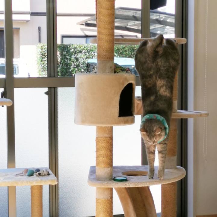 Be1449ab 62e2 48ea 90af 3dd02f439e13 1666755199143