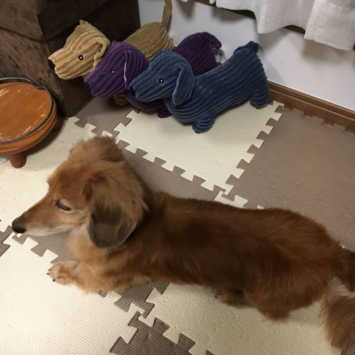 Be145478 714a 47d9 b624 46b0a53fa439 1619089612666