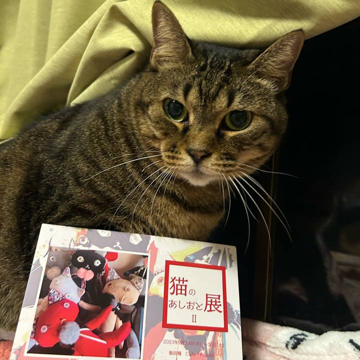 Be145639 73b9 4c72 b627 a02f6d440b60 1693571085871