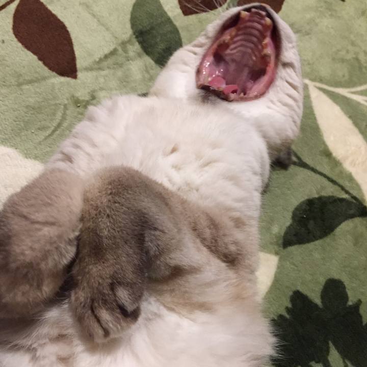 Be146a47 efa2 447b b66e a63c5e16035d 1582026861352