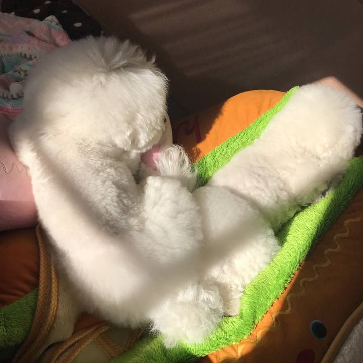 Be1477f7 4519 449d bb5b cae124465ac1 1550369238256