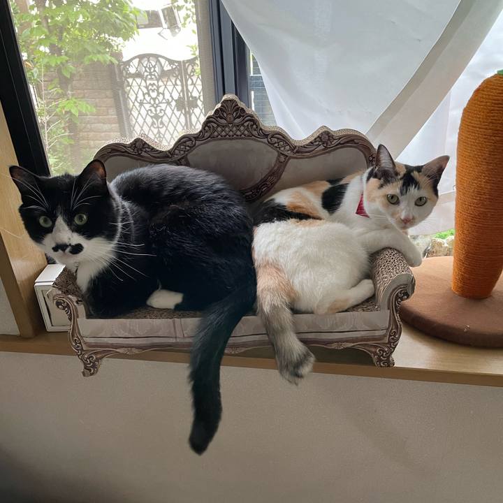 Be147c3d 4d72 45a9 985f e37f6f459ff6 1718871753278