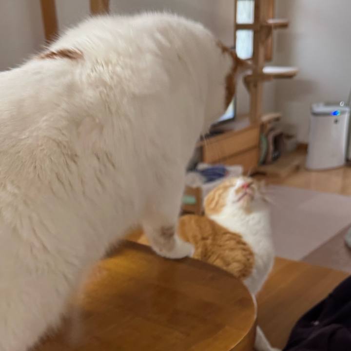 Be149f4f dff1 49b8 9a2d bf30c0a4aa09 1774841958250