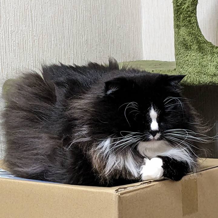 Be14b0d7 a656 4c36 9bf0 59173d924b2b 1701953368832