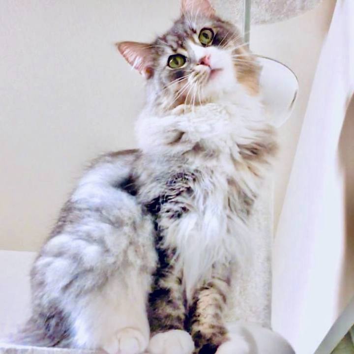 Be14cfd3 3341 41e5 b046 dafe9b9e238c 1753205371360