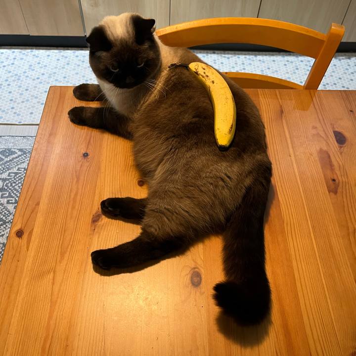 Be14dd5b 4e7e 4b32 832a 297b9887e51f 1648465587264