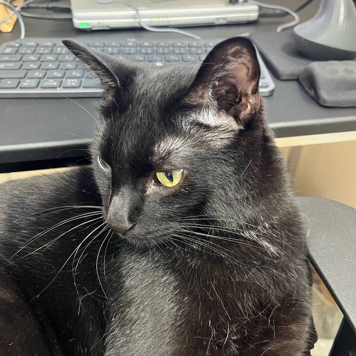 Be14e15e b828 4649 be6c ee8e2bc8482f 1685325087915