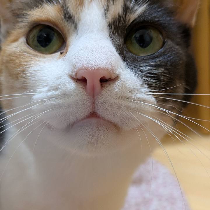 Be14eb9a aa08 4890 ac5a 6d36cda5cbb7 1762514358386