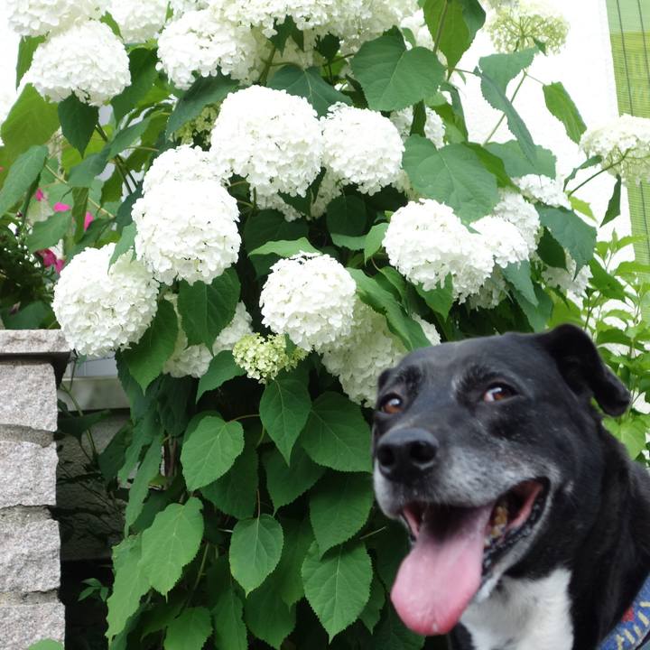 Be150294 0142 4133 893b 2a89dd3a92c9 1718153511974