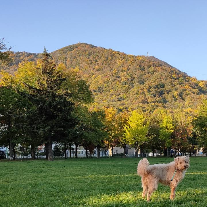 Be153a7b 9cb6 4f2a aacd 09a4b0305dbb 1603060634781