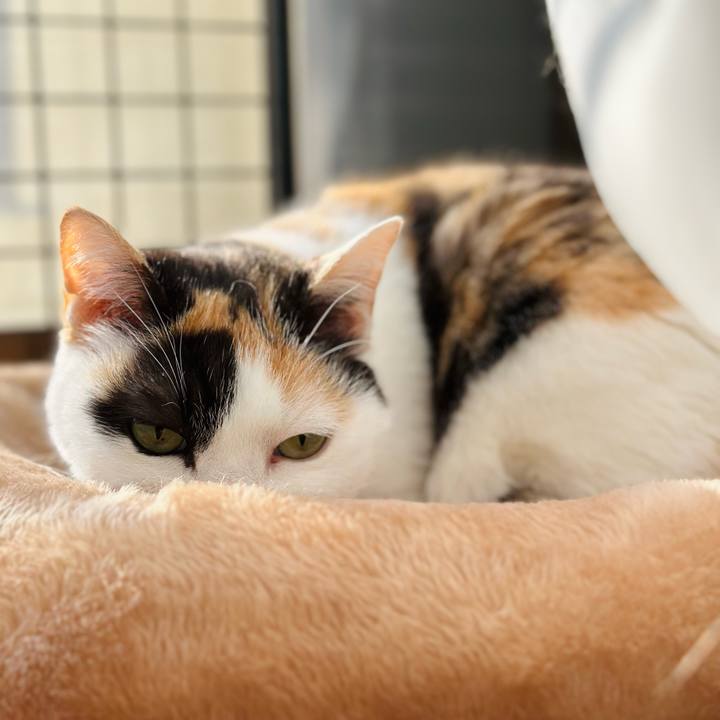 Be156d3b 2820 4be9 90a8 bc0e92b49db6 1706749839181