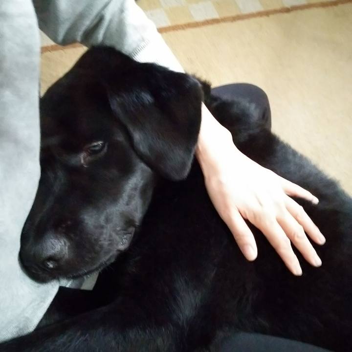 Be157180 4444 4bea a7c3 c83dc53dc6b1 1691808640535