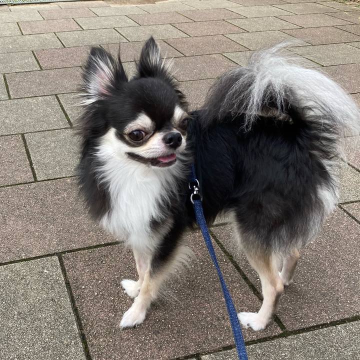 Be158691 cf70 461a 8b3c b72a9a2c571d 1662271970176