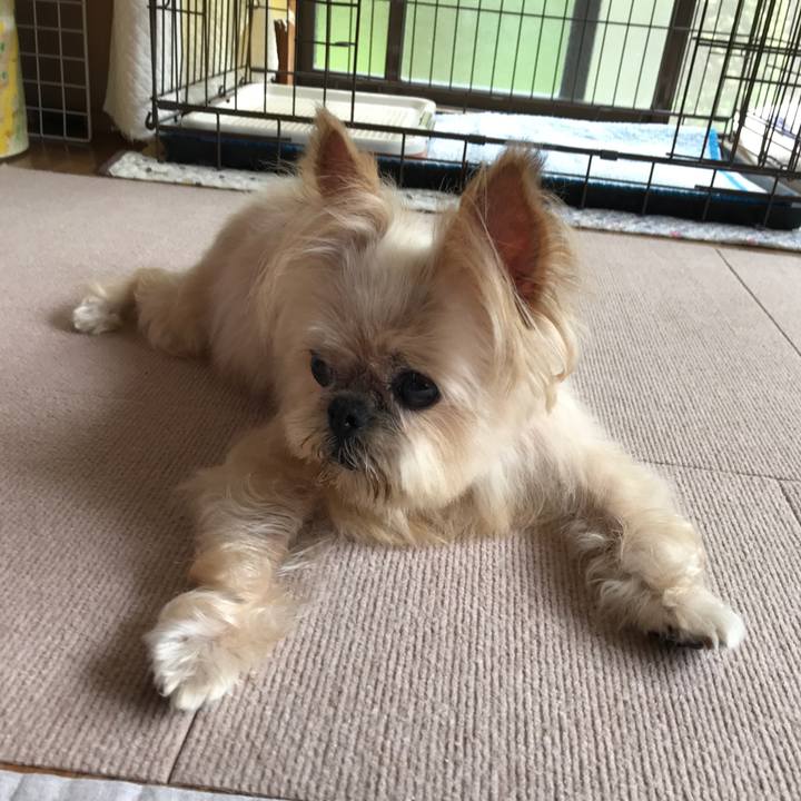 Be15ecd8 8166 4d17 9eae 7640e0064bb3 1596175554818