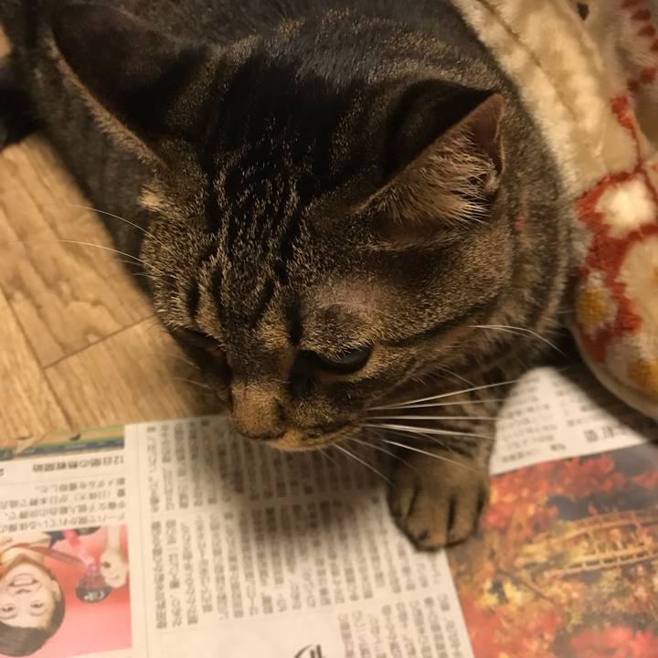 Be15f63e cb3e 4ca0 a56a f205313af040 1541596143308