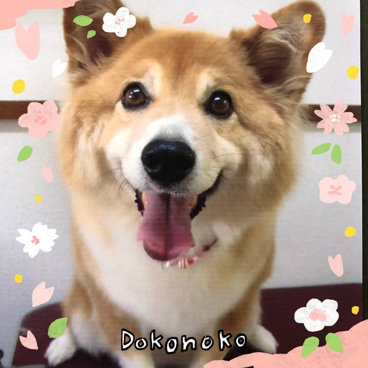 Be169284 48bd 4fcc 81c2 0a4ae1ac27c0 1711239550926