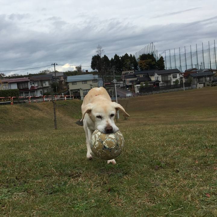 Be16bf6e 248d 439b 86c2 efaa43561902 1542683228770