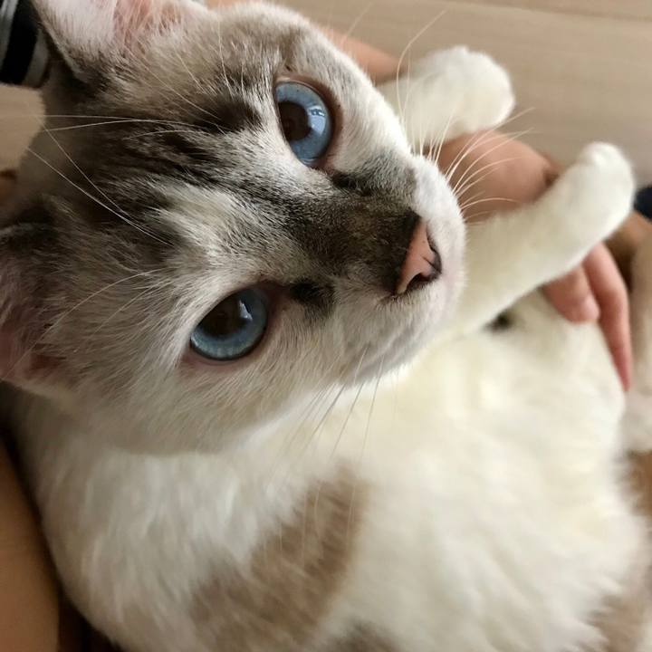 Be170a98 4ac3 4c7e 9b1a a7061cd35cbd 1539645562563