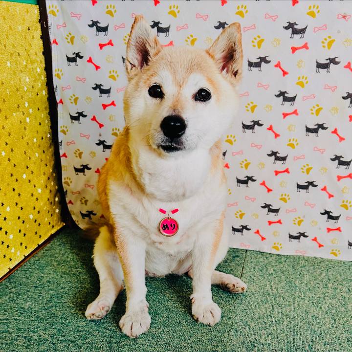 Be1719bf ae04 42fa a24a 817e75fe03f9 1758605951232