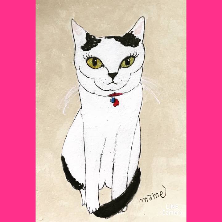 Be17261e 1050 4c8e 9434 bb954774180b 1626511916922