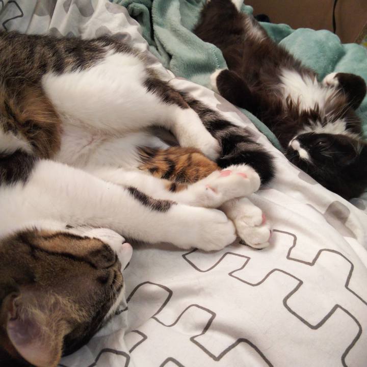 Be176b55 bcc1 4450 8aee a9fcd9ceeb65 1641795411482