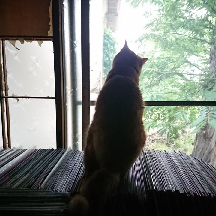 Be17796f f659 44ca af4f 3dad1161f574 1658694713770