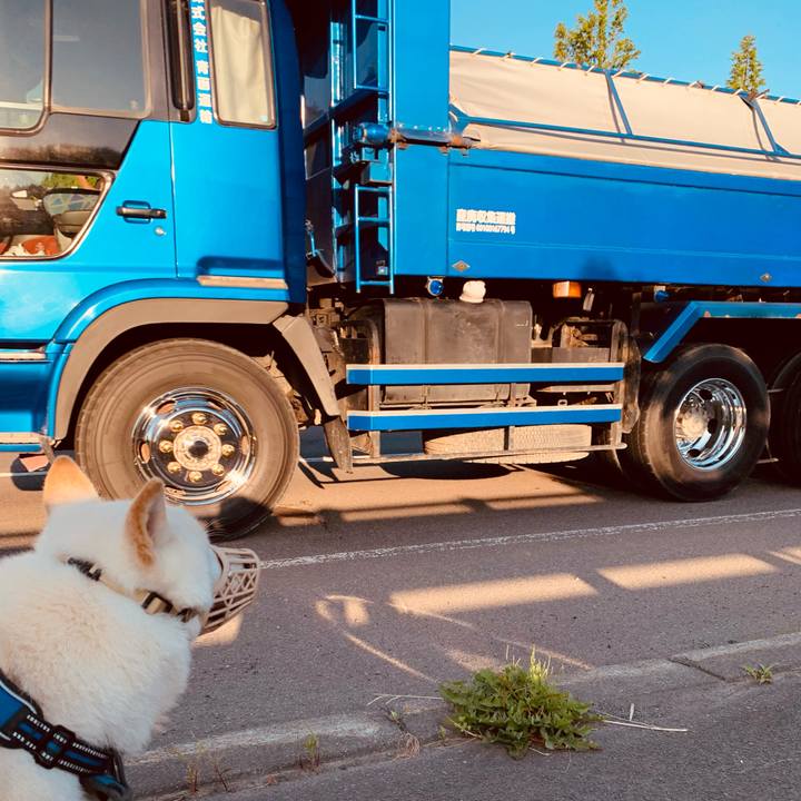 Be178f04 5abd 47e4 a7d5 b320526bc30f 1624655500587