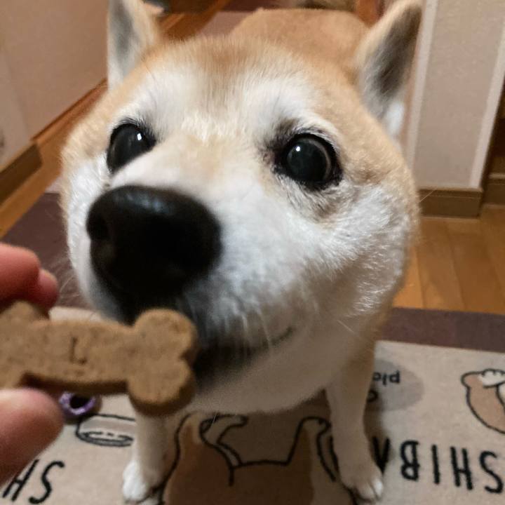 Be1795cd 9e14 4bc9 8887 b33051d33331 1627818736966