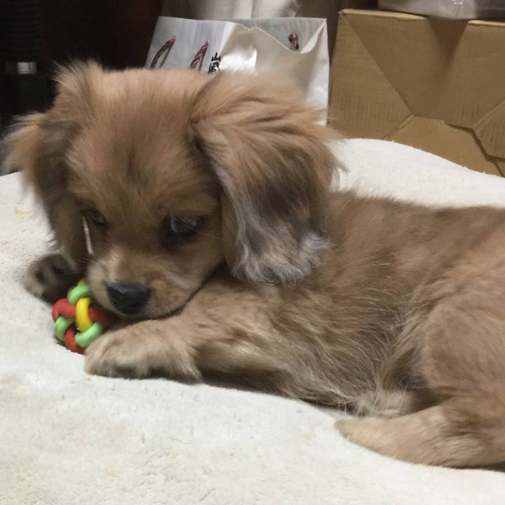 Be17bdc5 2a59 460d a152 566fe1967ca8 1568713805001