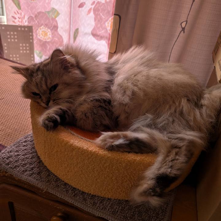 Be17dff2 12e7 454f 8922 b0861630a1af 1759795154908