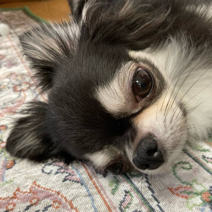 Be17ea67 2c23 46c2 a005 fd84bd78c53b 1660381578312