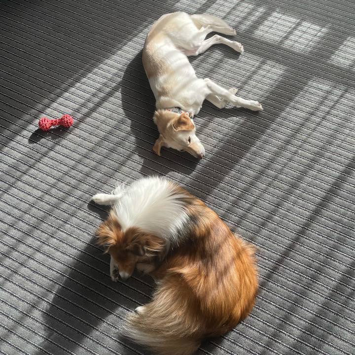 Be17ec15 b757 471d 9a50 a605826a2a03 1638092776155