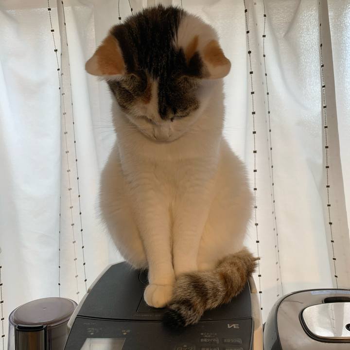 Be17f1f8 085f 4df0 b11c 02b73d230eb5 1606973353963