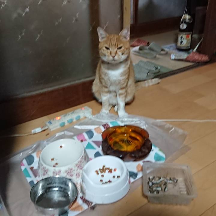 Be17f83d fd8b 4bac 921f d015fa857099 1597005861283