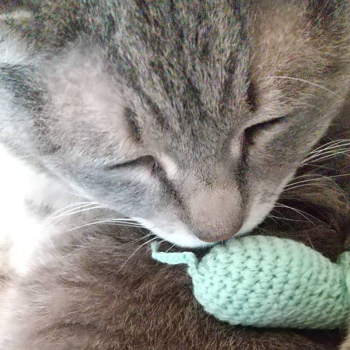 Be181a5a 95b6 4e49 b9b1 126796e19a55 1635554726527