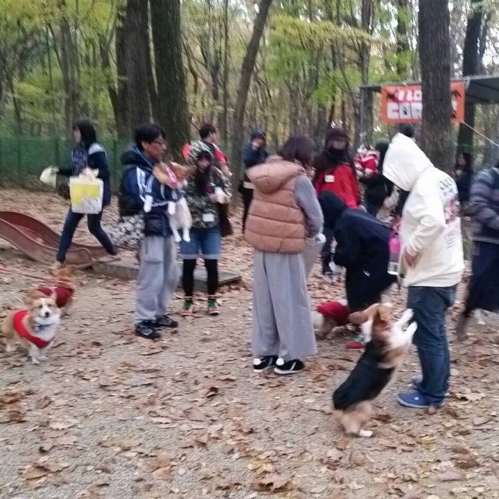 Be1825fe 8cab 43ce 89b1 96bfdd181b00 1509773340468