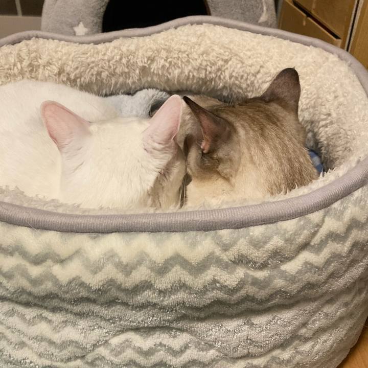 Be1836c9 3bea 40ee aeb9 1f4faca8a5b3 1706546289485