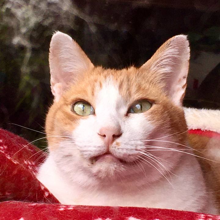 Be183e83 8234 4b23 a4e8 7cb4cca01ead 1571898082583