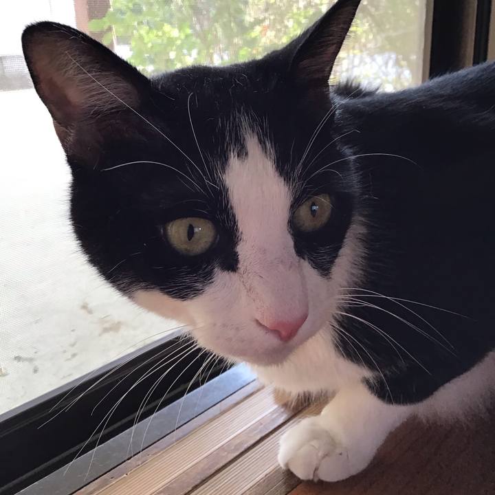 Be185ed5 dcbf 4053 9c88 1c9d99f8a82b 1756193296700