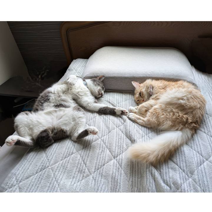 Be18857d 2aed 40f6 b3ee fe05f55b0710 1730171376838