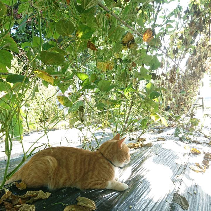 Be18af1f 7a0a 4283 a301 226f04495279 1567908373739