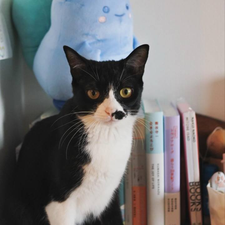 Be18d932 2465 48d2 a952 b464b039731a 1718708970640