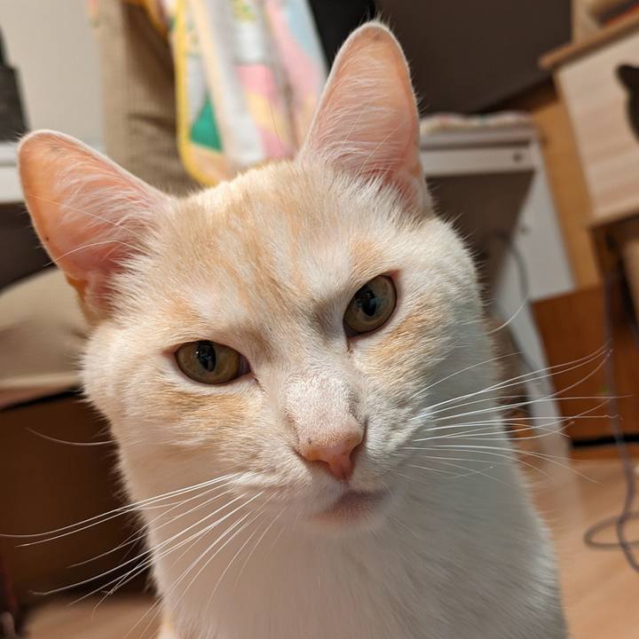 Be197ead 18e5 4059 baf6 8993a7ff1885 1715421986776