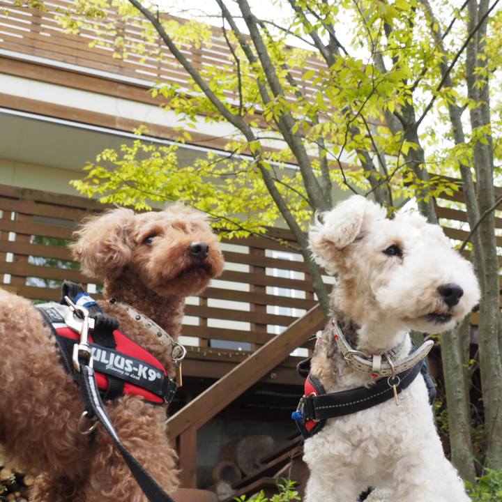 Be198e89 72fb 4e93 8f66 ec0158529ee4 1556430759056