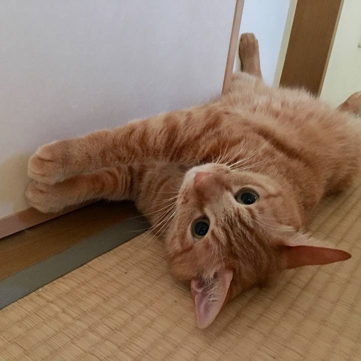 Be19978d 86c5 4f90 a4c7 b9dba701528d 1538875191394