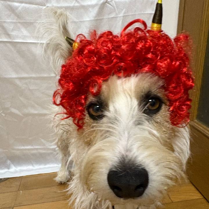 Be1a0f84 4816 487c a5d2 4db2c92b46a0 1770114306176